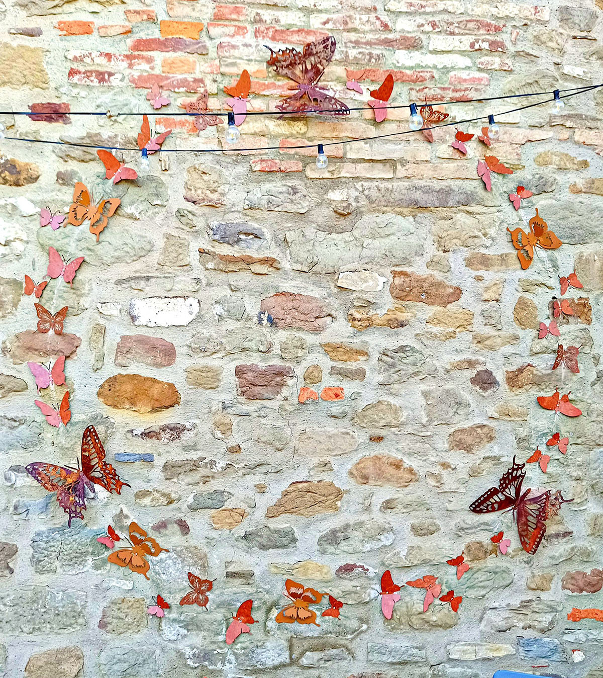 essiccatoio_gallery_13bis
