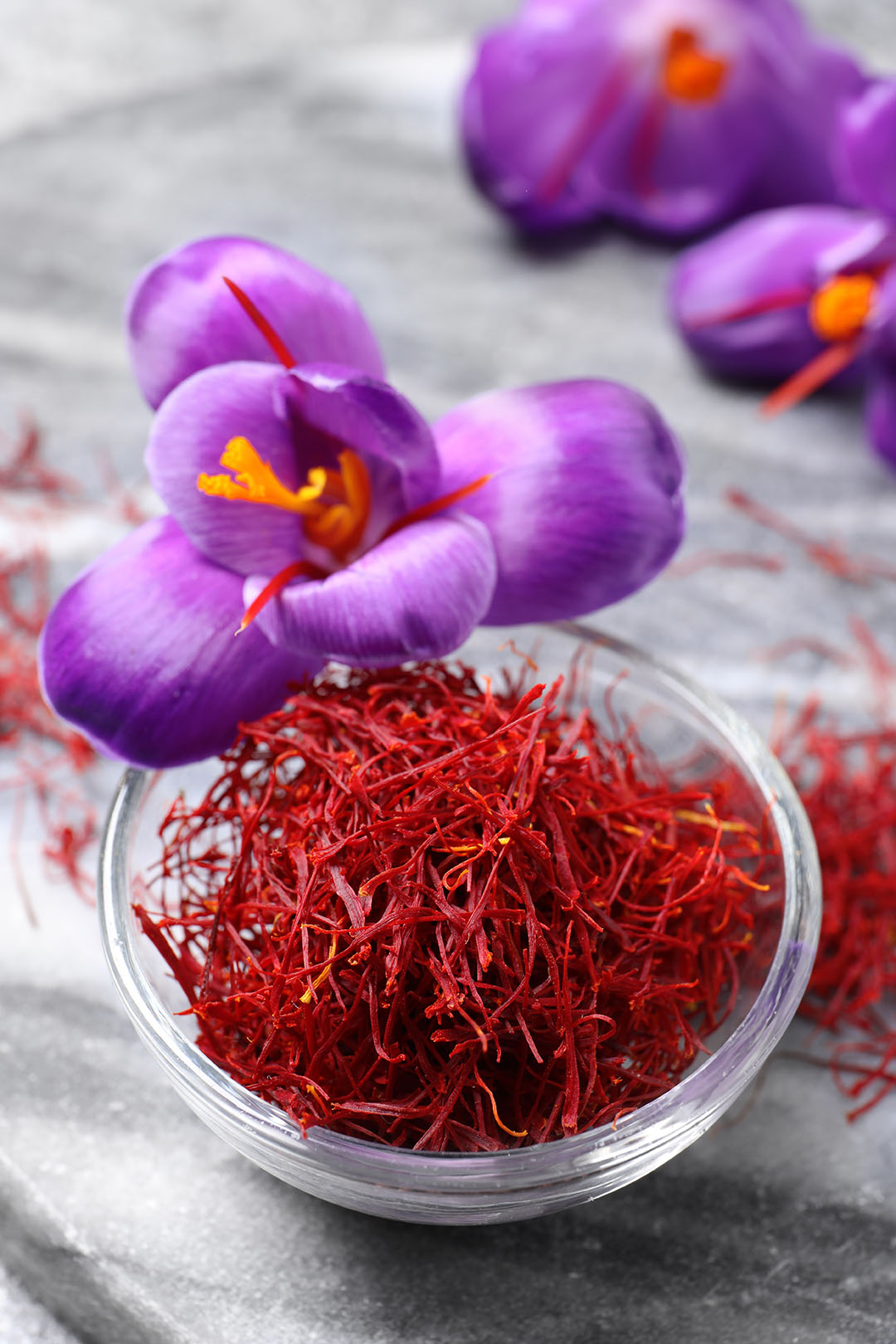 Dried saffron in bowl and crocus flowers on grey board, closeup